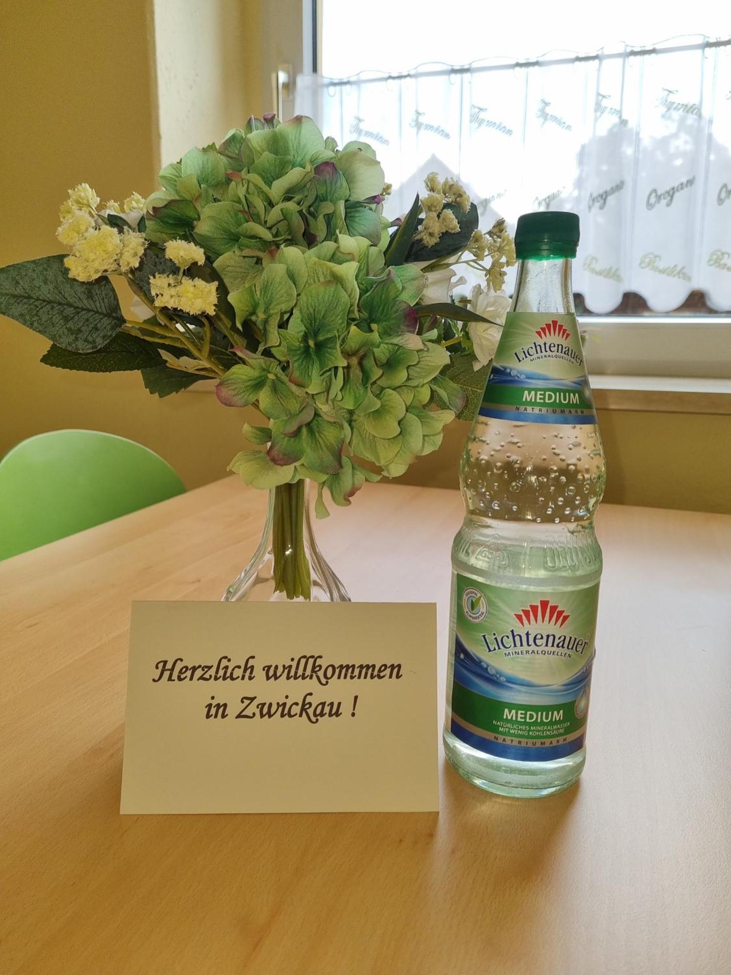 Ferienwohnung Im Zentrum Zwickaus Экстерьер фото